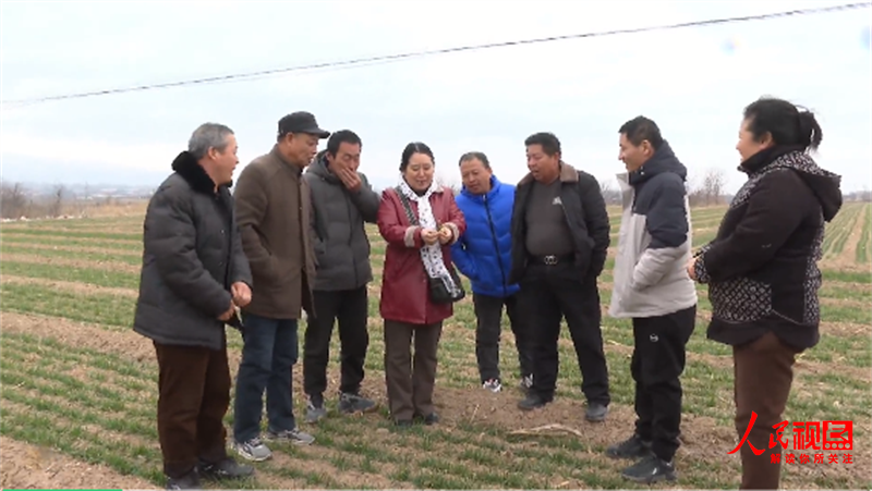 山西夏县：农技专家支招积极应对寒潮雨雪天气